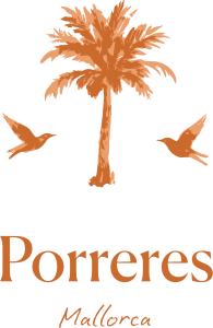 logo color