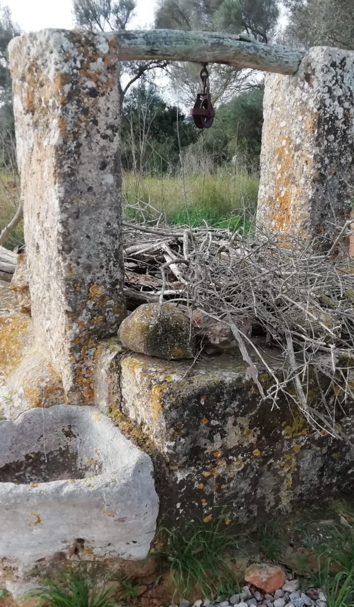 descobreixporreres©ruta105