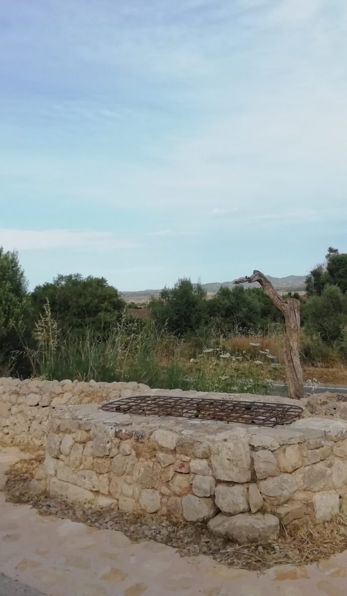 descobreixporreres©ruta207