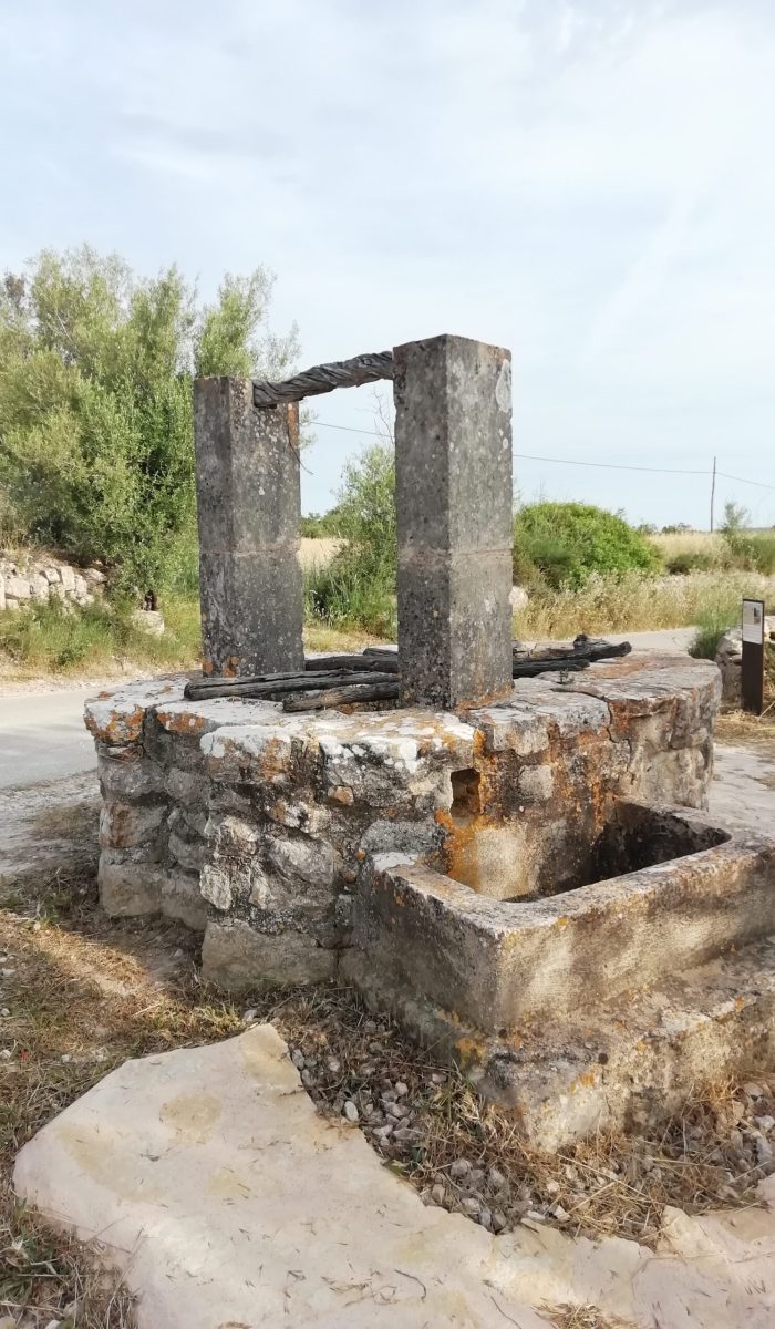descobreixporreres©ruta303