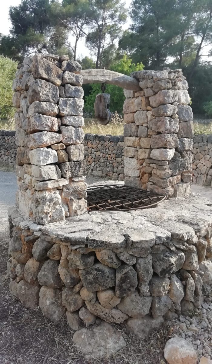 descobreixporreres©ruta308
