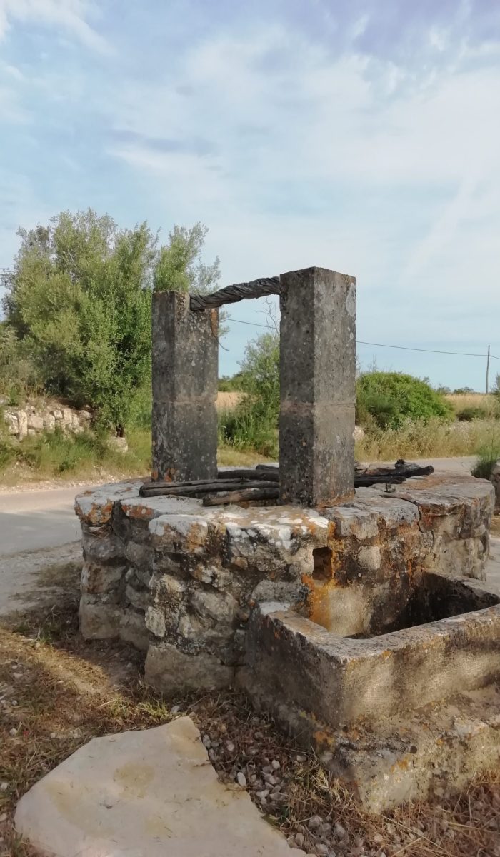 descobreixporreres©ruta311