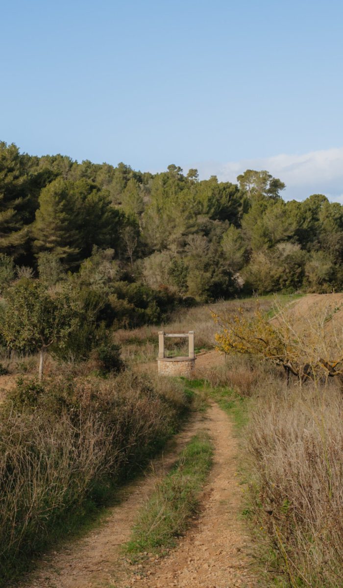 descobreixporreres©ruta402