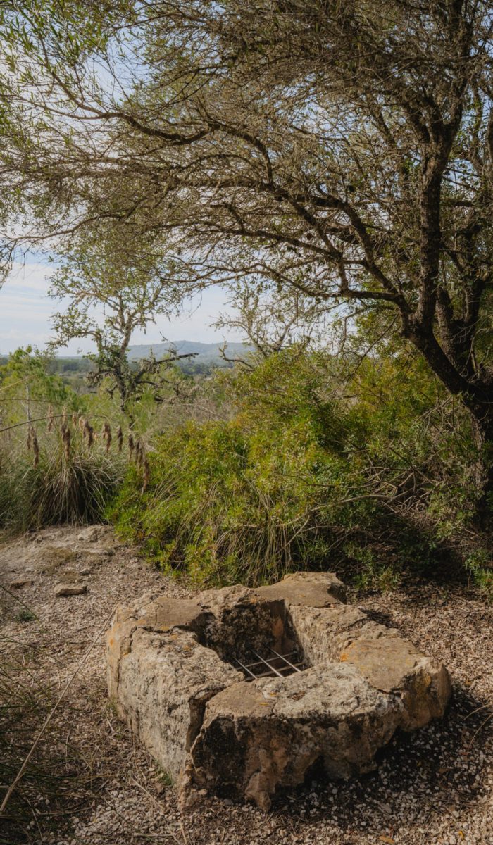 descobreixporreres©ruta403